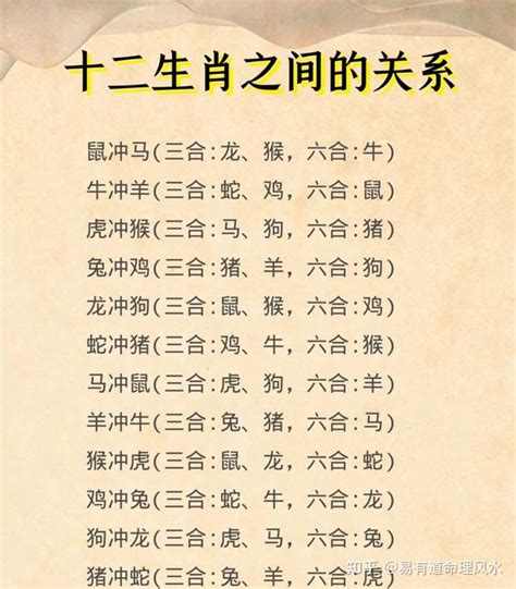 兔 狗 六合|十二生肖里的三合、六合、六害、六冲分解